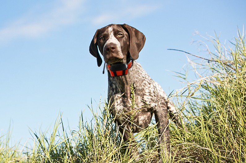 9c311614-5df7-45b0-ac77-dc8e9d51cb30 9c311614-5df7-45b0-ac77-dc8e9d51cb30