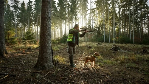 Vēja apgūšana: kāpēc vēja virziens ir svarīgs medībās